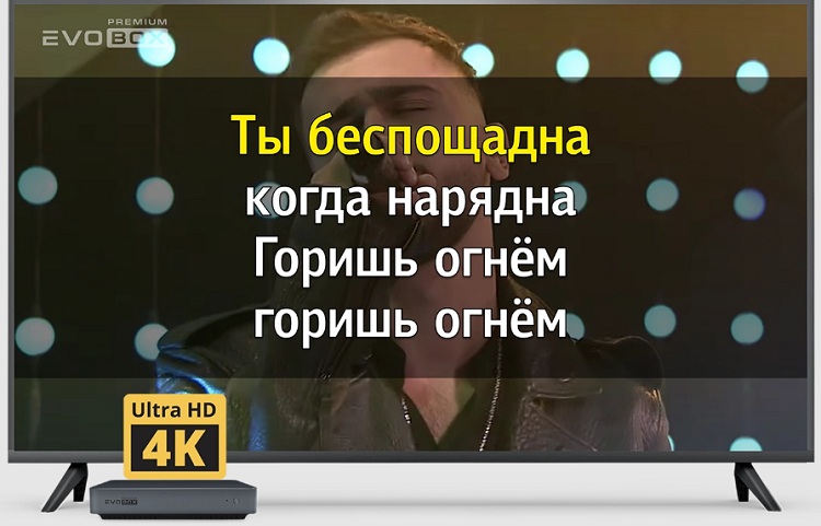 karaoke-evo